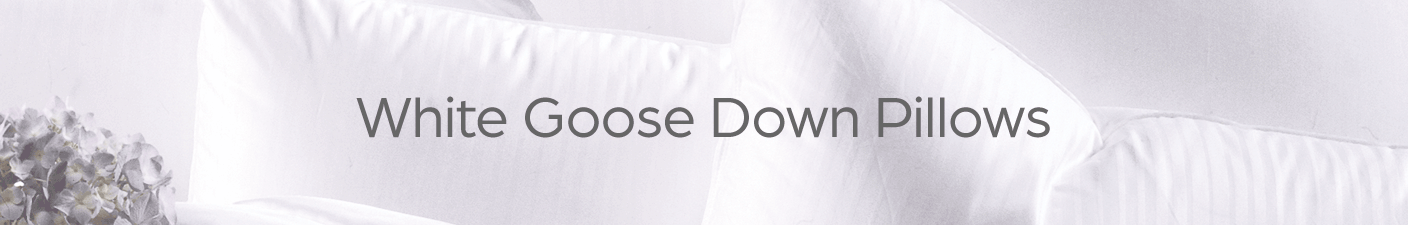 Down Pillows banner