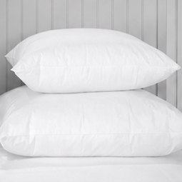 650 Fill White Goose Down