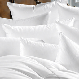 750 Fill White Goose Down 