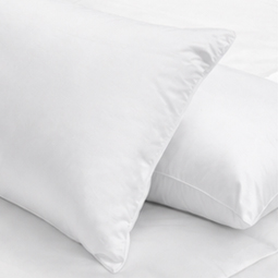 Core Support Pillows