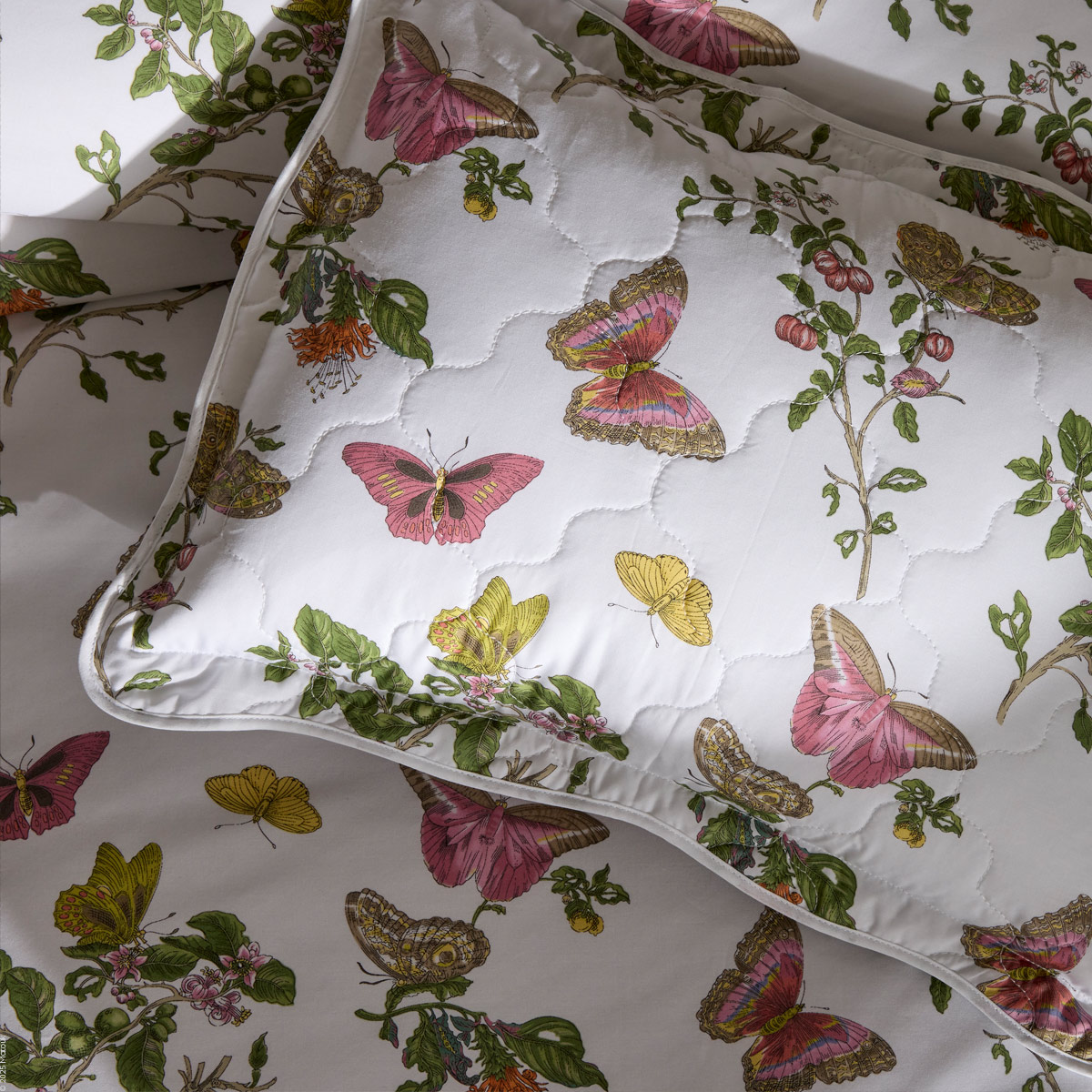 Baudin Butterfly Percale