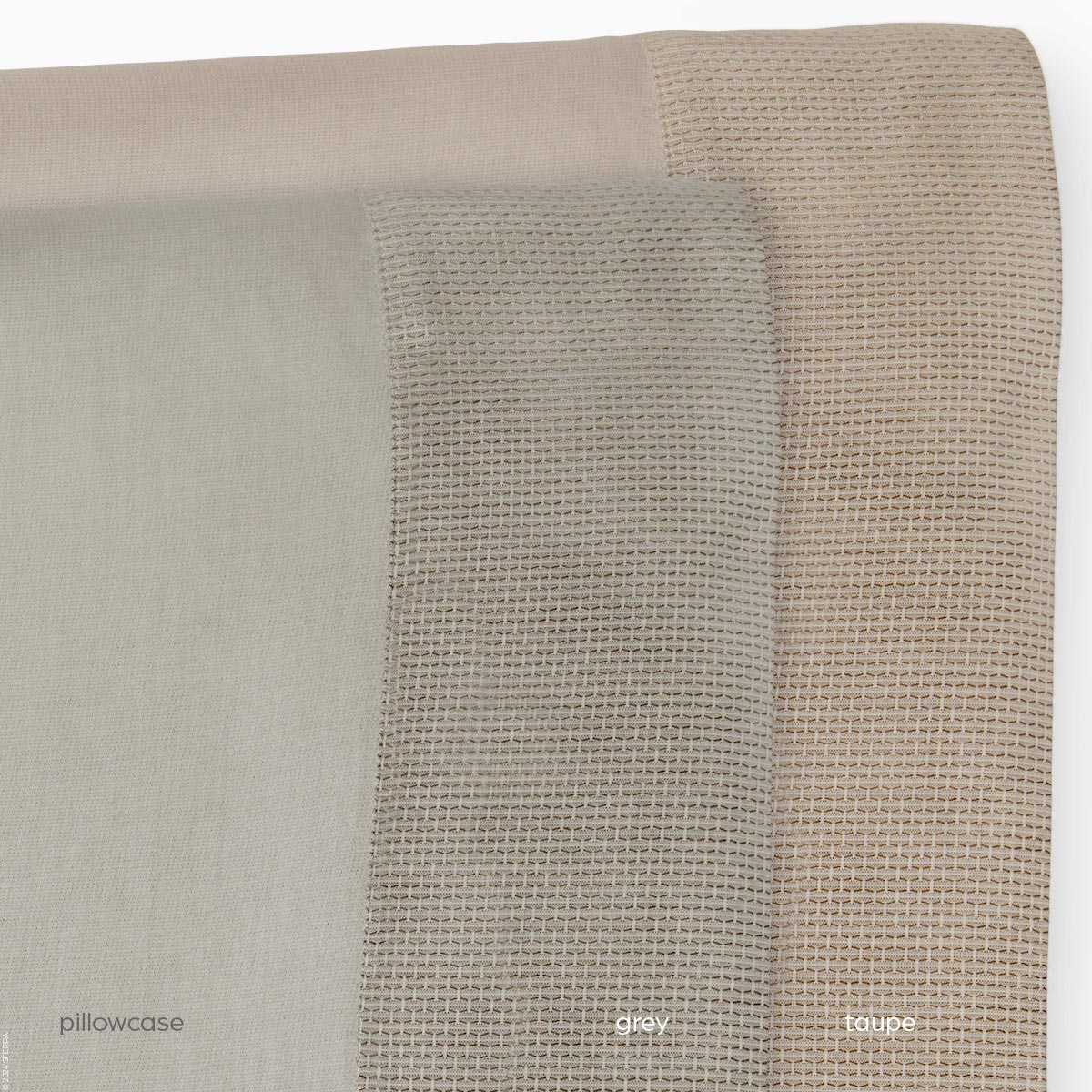 Carlotta Sateen Carlotta Sateen