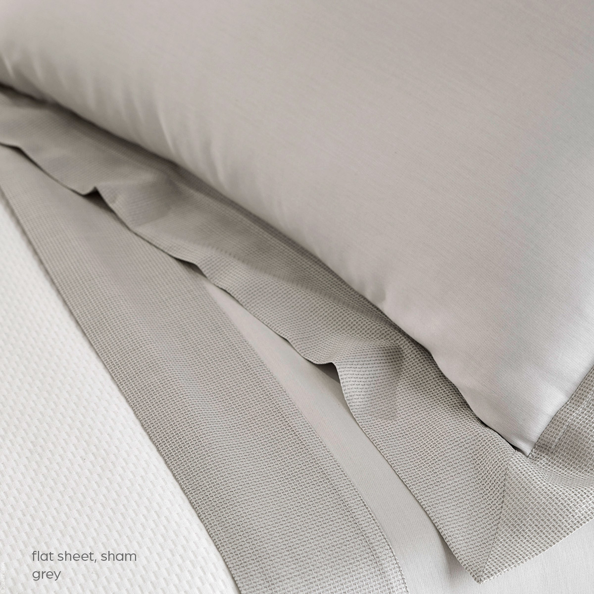 Carlotta Sateen Carlotta Sateen