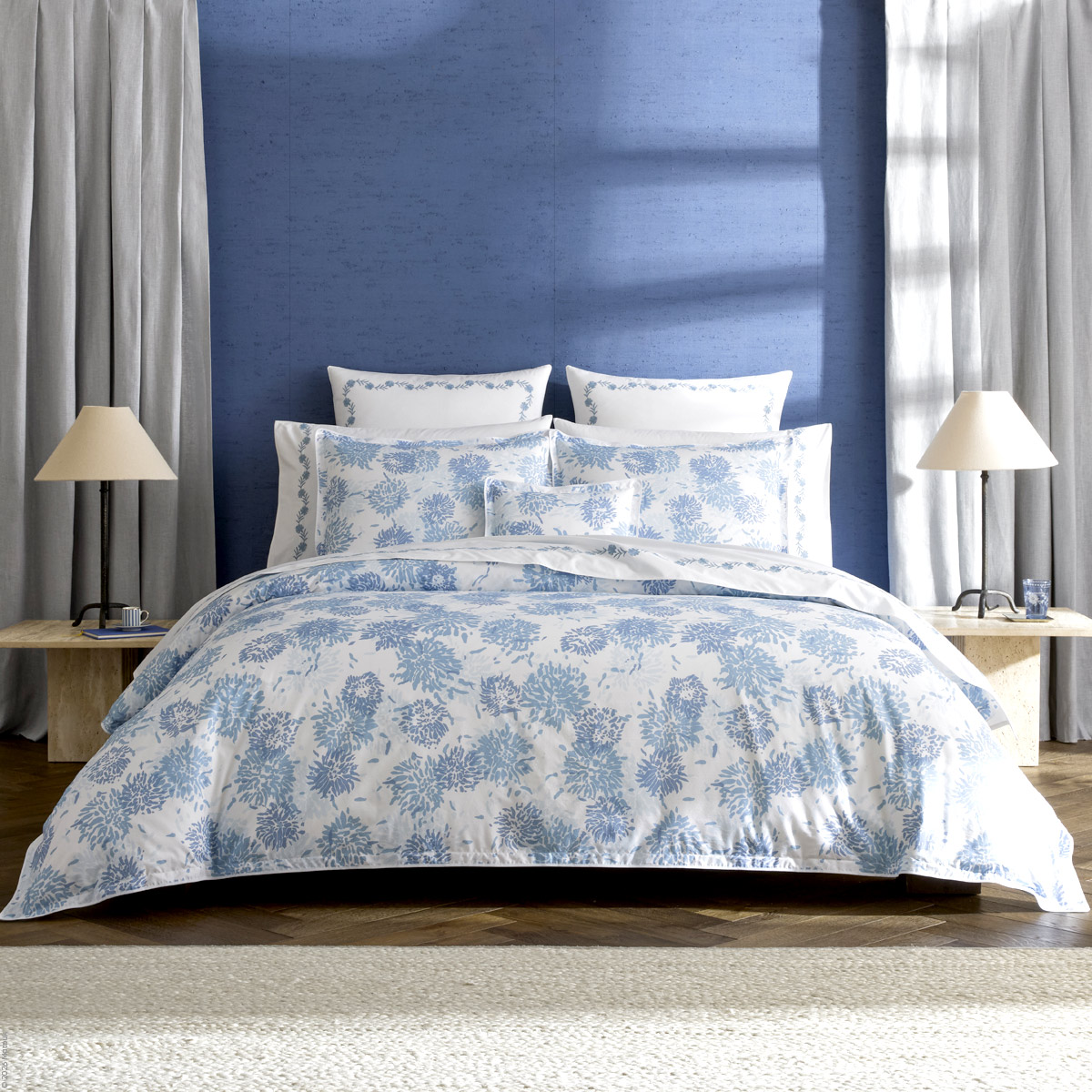Chrysanthemum Percale