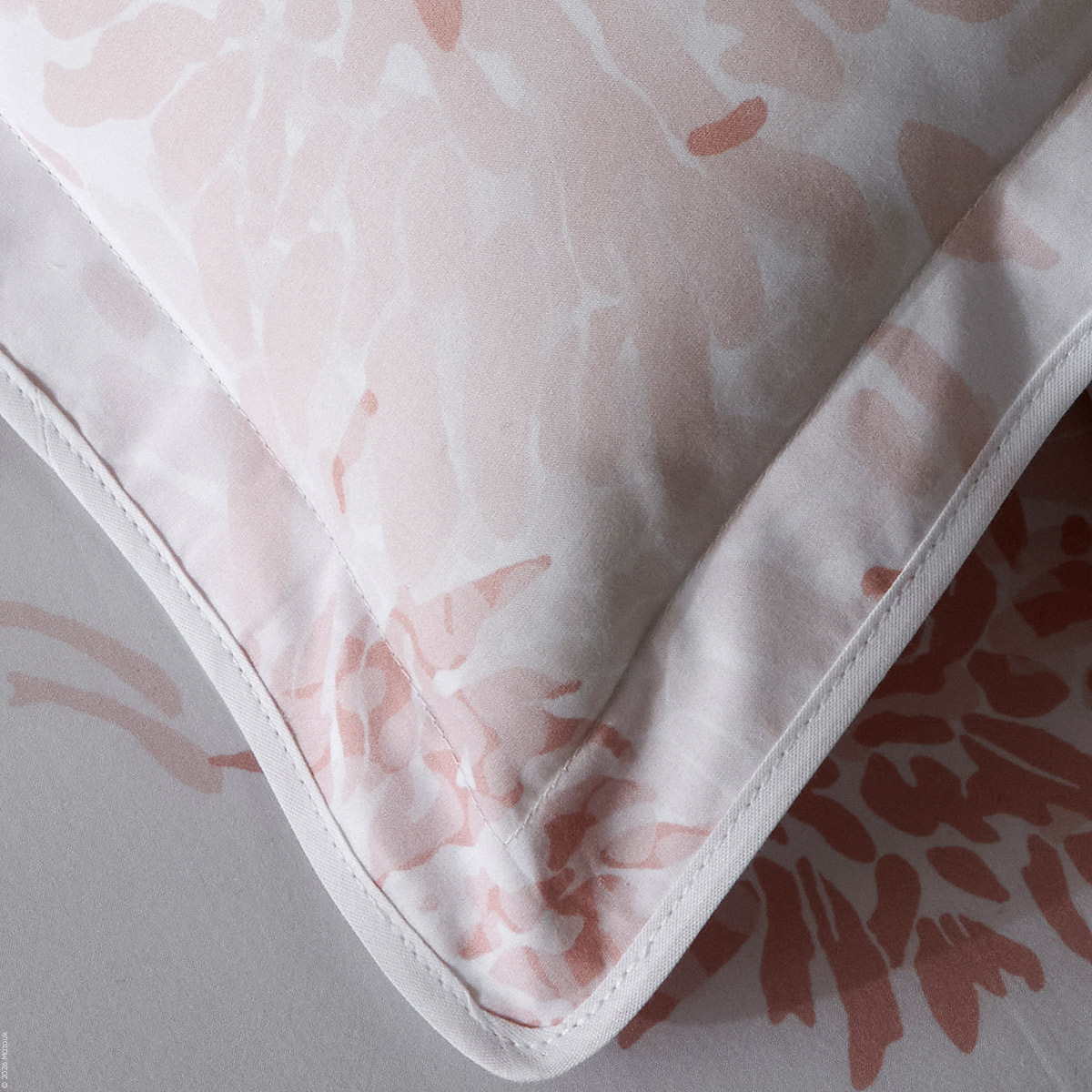 Chrysanthemum Percale