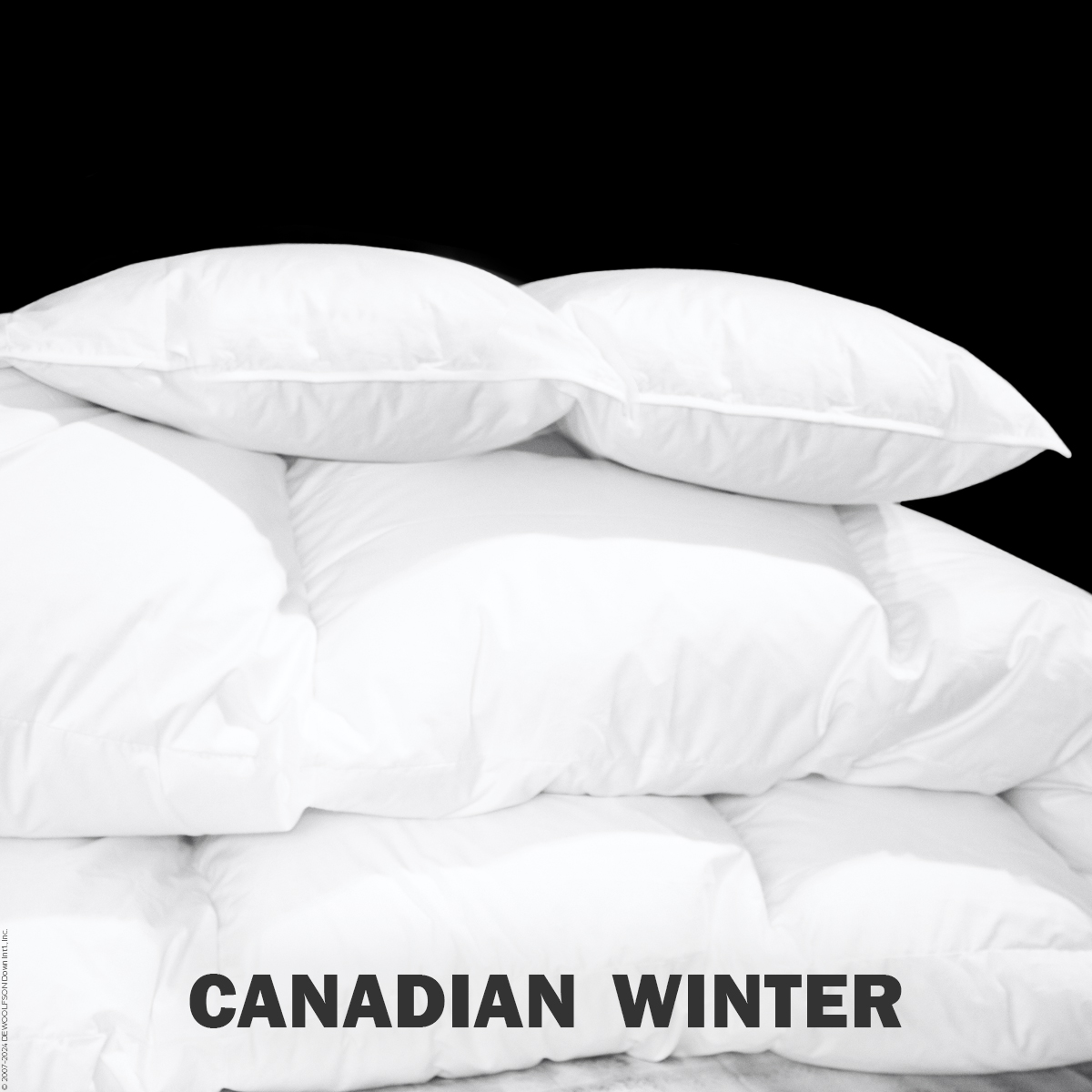 Cambric - Our Original