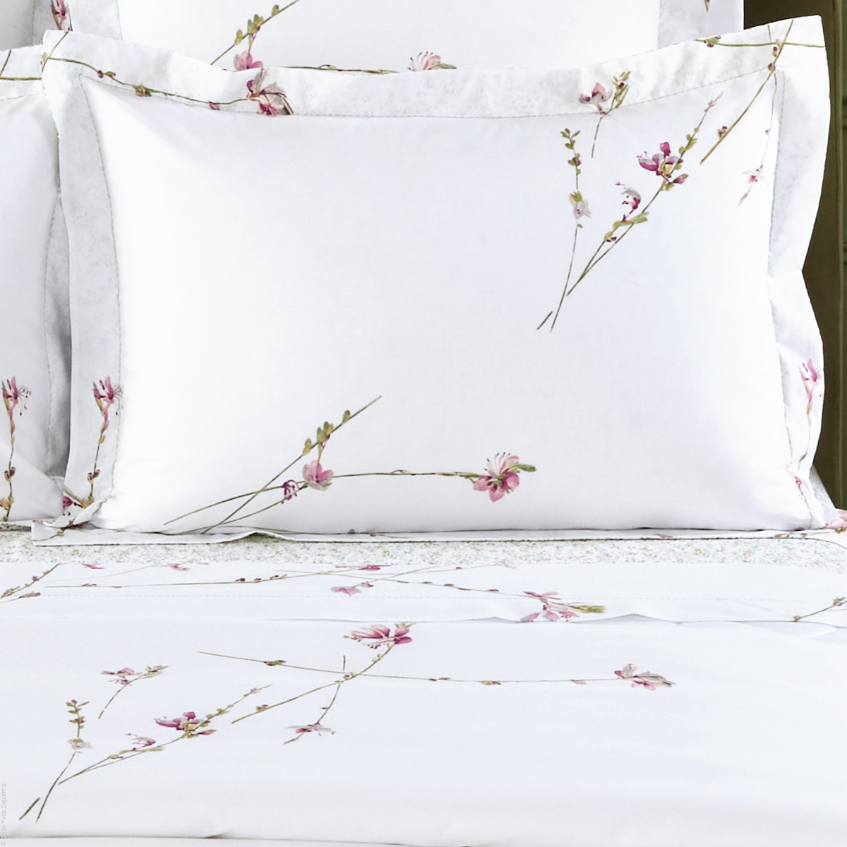 Gaura Percale