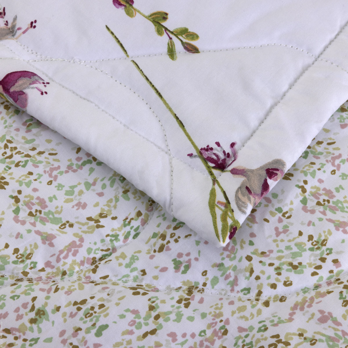 Gaura Percale