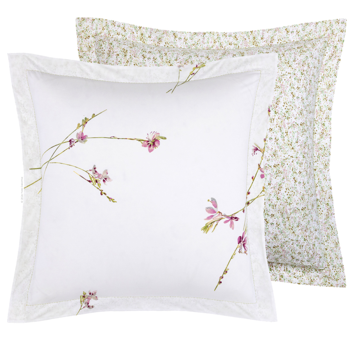 Gaura Percale