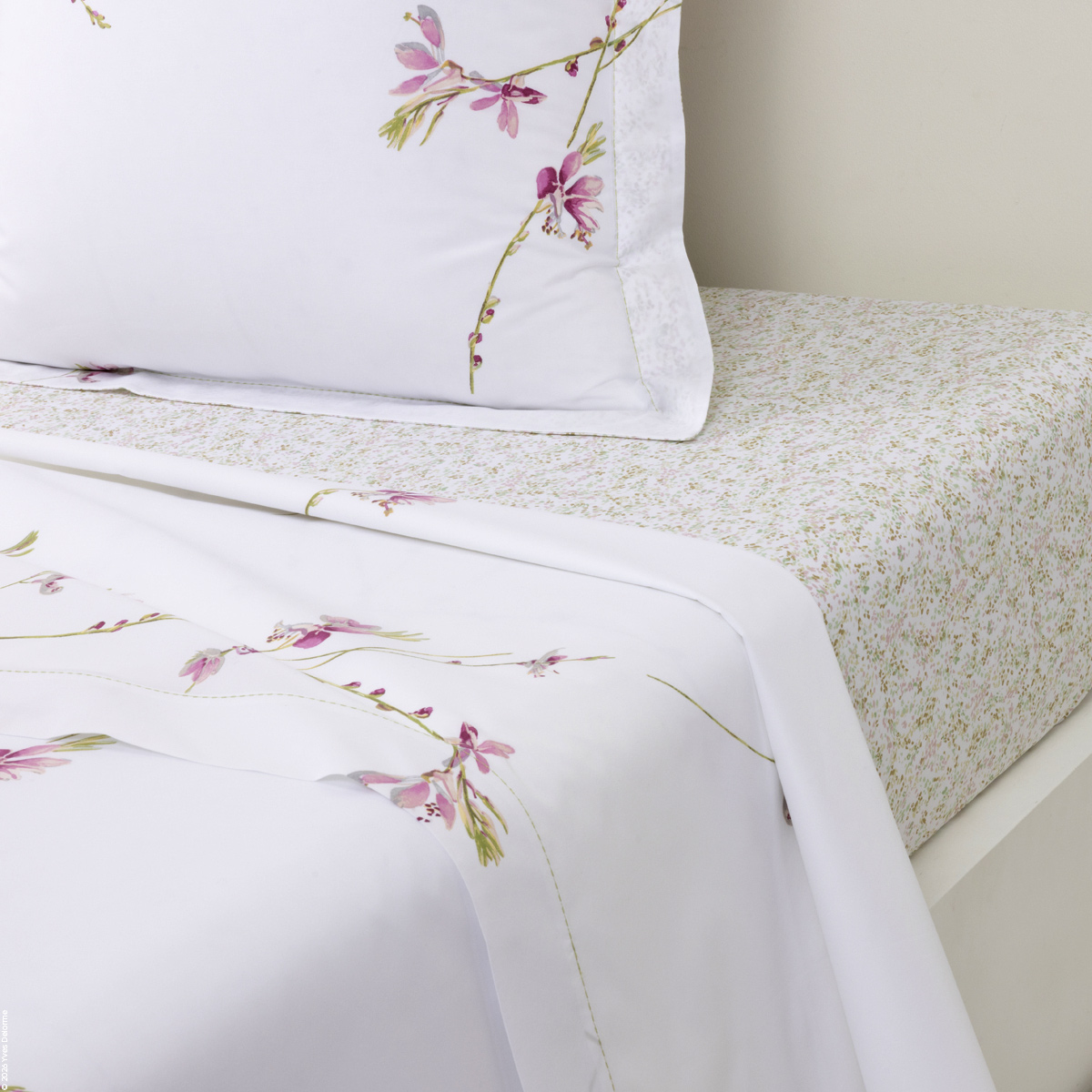 Gaura Percale