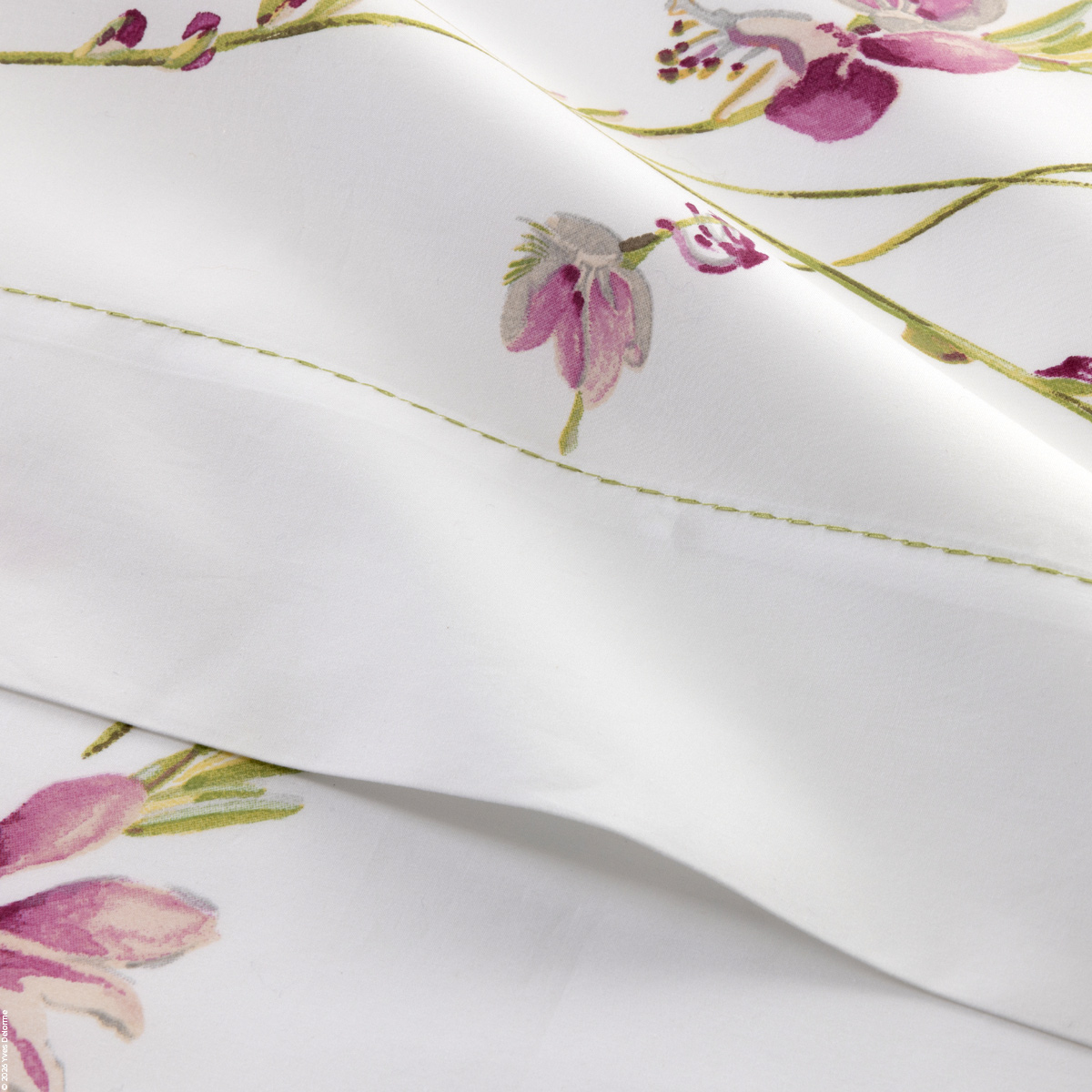 Gaura Percale