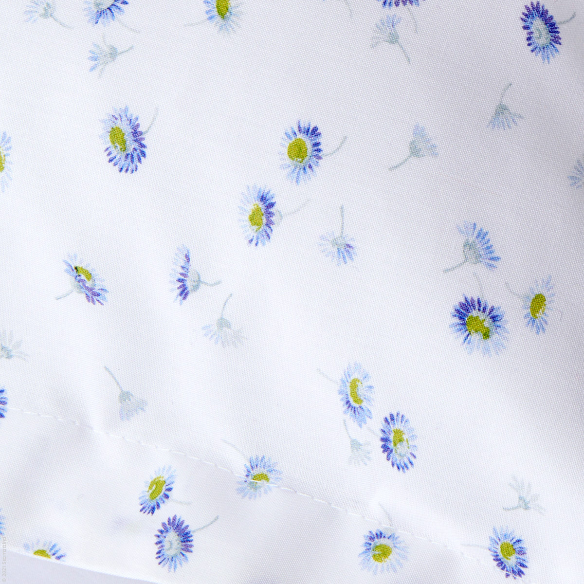 MARGHERITA small daisies