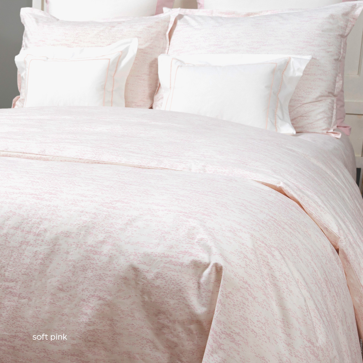 SARA splashes of color