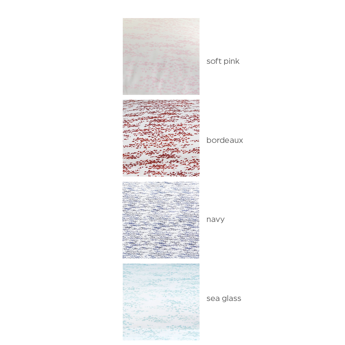 SARA splashes of color