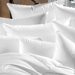 750 Fill White Goose Down 