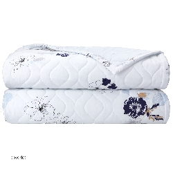 Eclipses Sateen