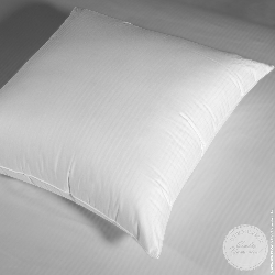 Traditional European Pillows