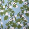 Hanae Percale