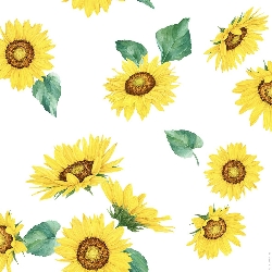 SOLEIL sunflowers