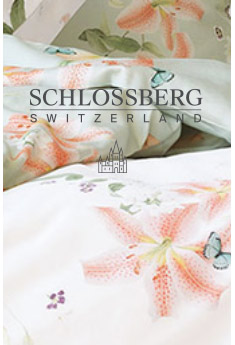 Schlossberg from Switzerland