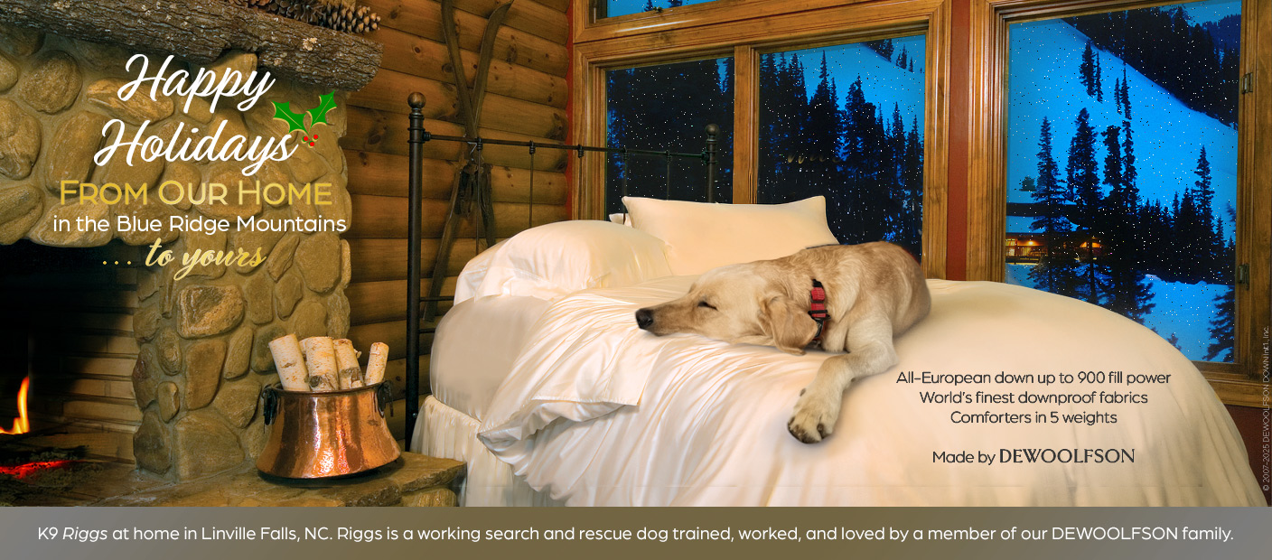 European-influenced down products by DEWOOLFSON