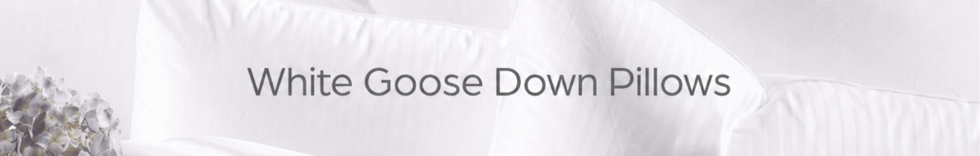 Down Pillows banner