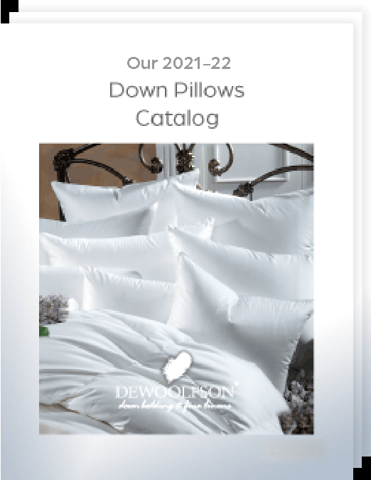 Our 2020-21 Down Pillows Catalog